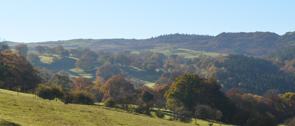 Pale Hall Llandderfel المظهر الخارجي الصورة